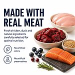 Rosy Fresh Grain-Free Baked Cat Food 2KG – High Protein Chicken & Duck, Low-Temperature Kibble, No Meat Meal - Image 8
