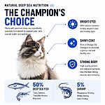 Rosy Fresh Grain-Free Baked Cat Food 2KG – High Protein Fish Recipe, Low-Temperature Kibble, No Meat Meal - Image 5