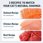 Rosy Fresh Beef Recipe Wet Cat Food 100g x 6 Cans – Complete Nutrition for Cats - Image 4