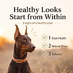 Rosy Fresh Chicken Recipe Baked Complete Dog Food 2.0kg - Image 6