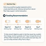 Rosy Fresh Oven-Baked Kitten Food Chicken Recipe 1KG - Image 8