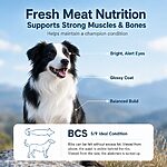 Rosy Fresh Grain-Free Baked Dog Food 2KG – Fresh Meat Chicken Recipe for Medium & Large Breeds - Image 5